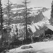Cover image of Bear Hunting Camp in Kintla Valley, B.C.